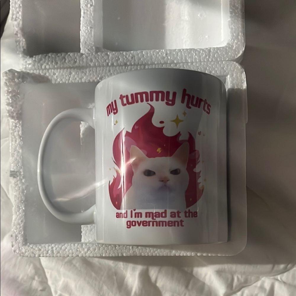 Funny Cat Mug with Pink and White Design